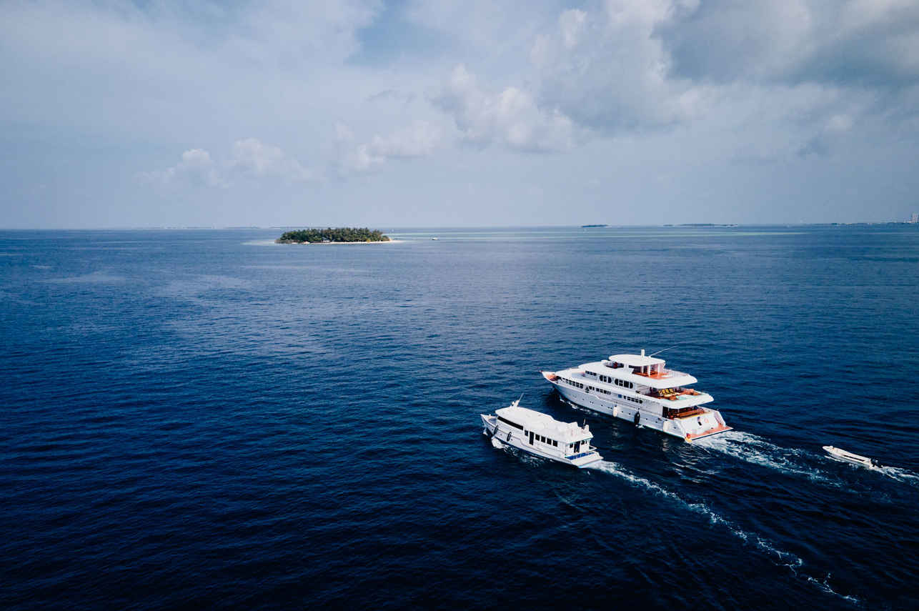 Horizon 3 Liveaboard