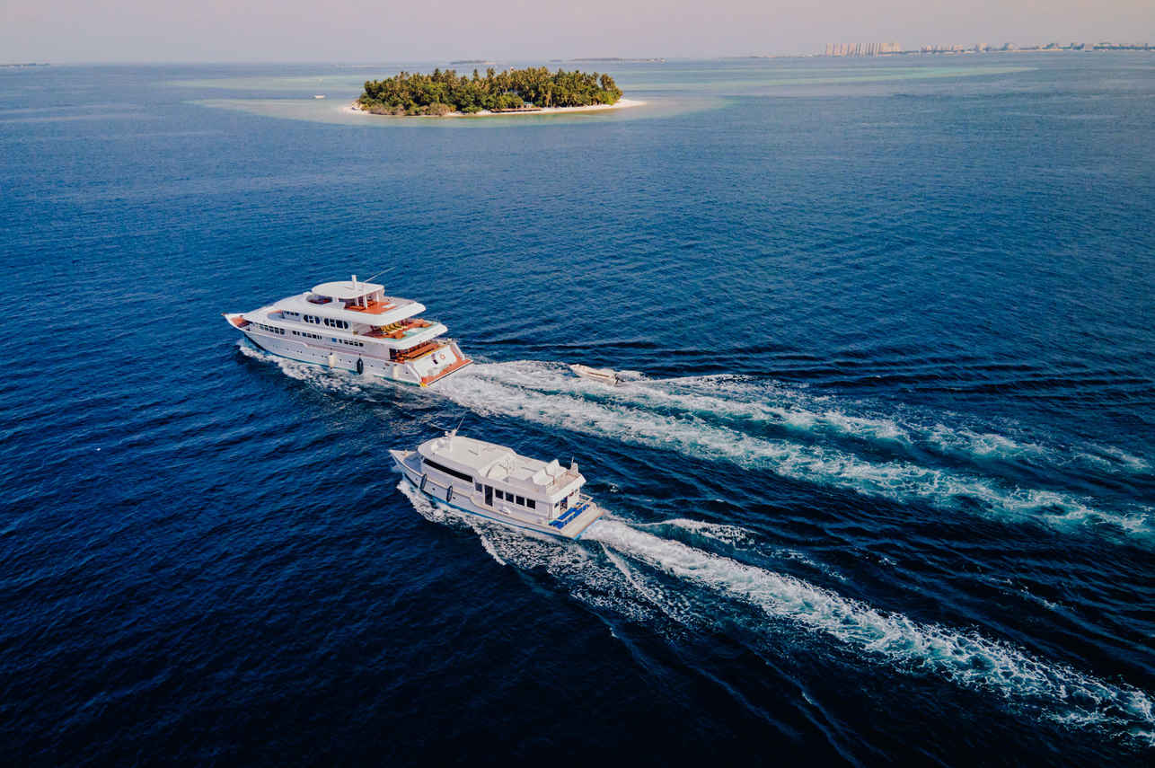 Horizon 3 Liveaboard