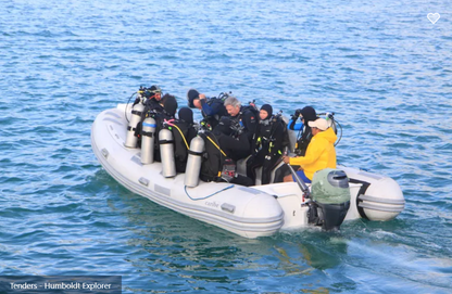 Humboldt Explorer