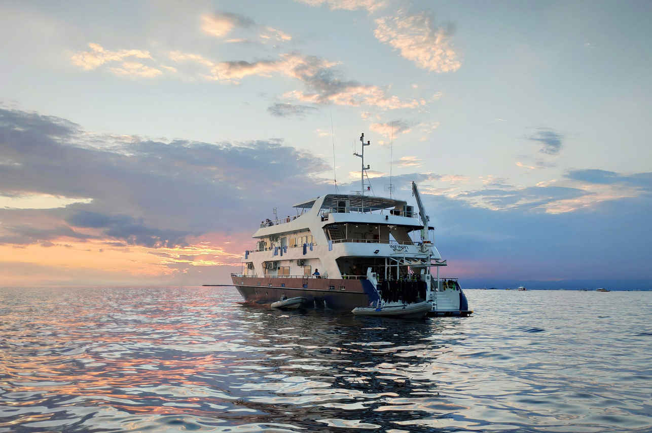 Infiniti Liveaboard