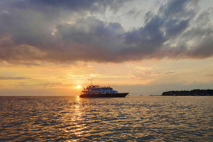 Infiniti Liveaboard