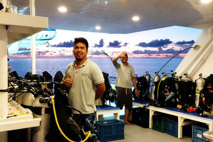 Infiniti Liveaboard