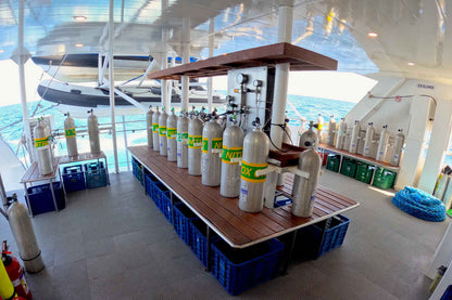 Infiniti Liveaboard