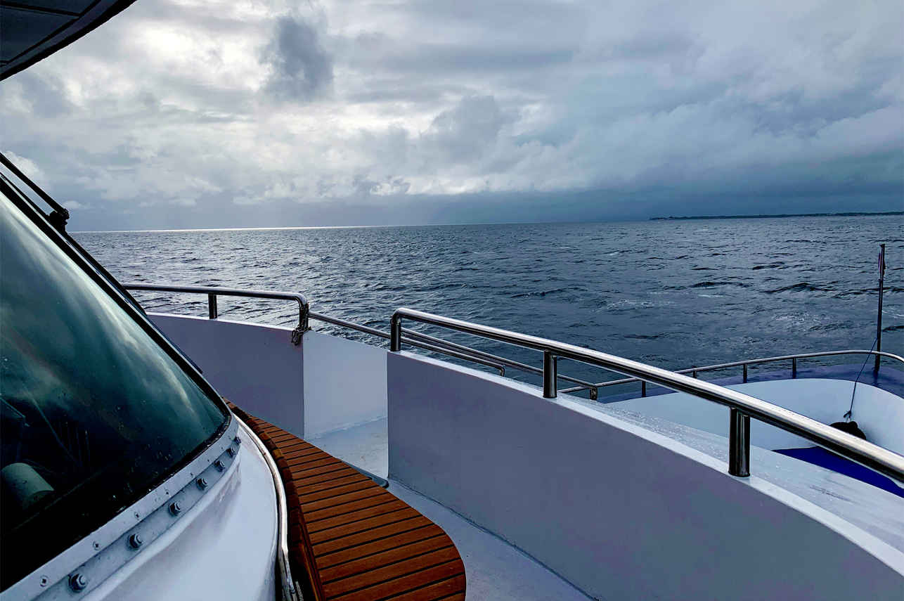 Infiniti Liveaboard