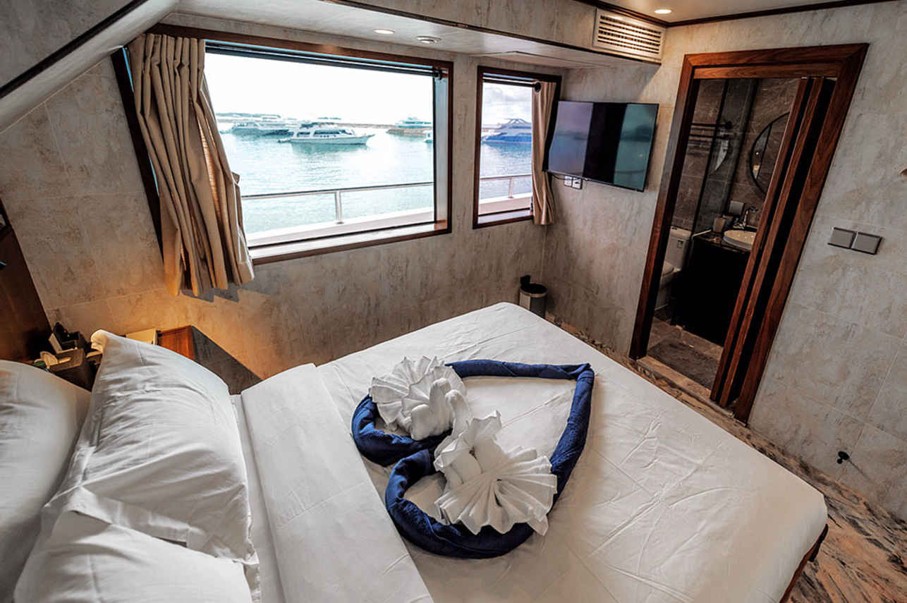 Infinity X Liveaboard