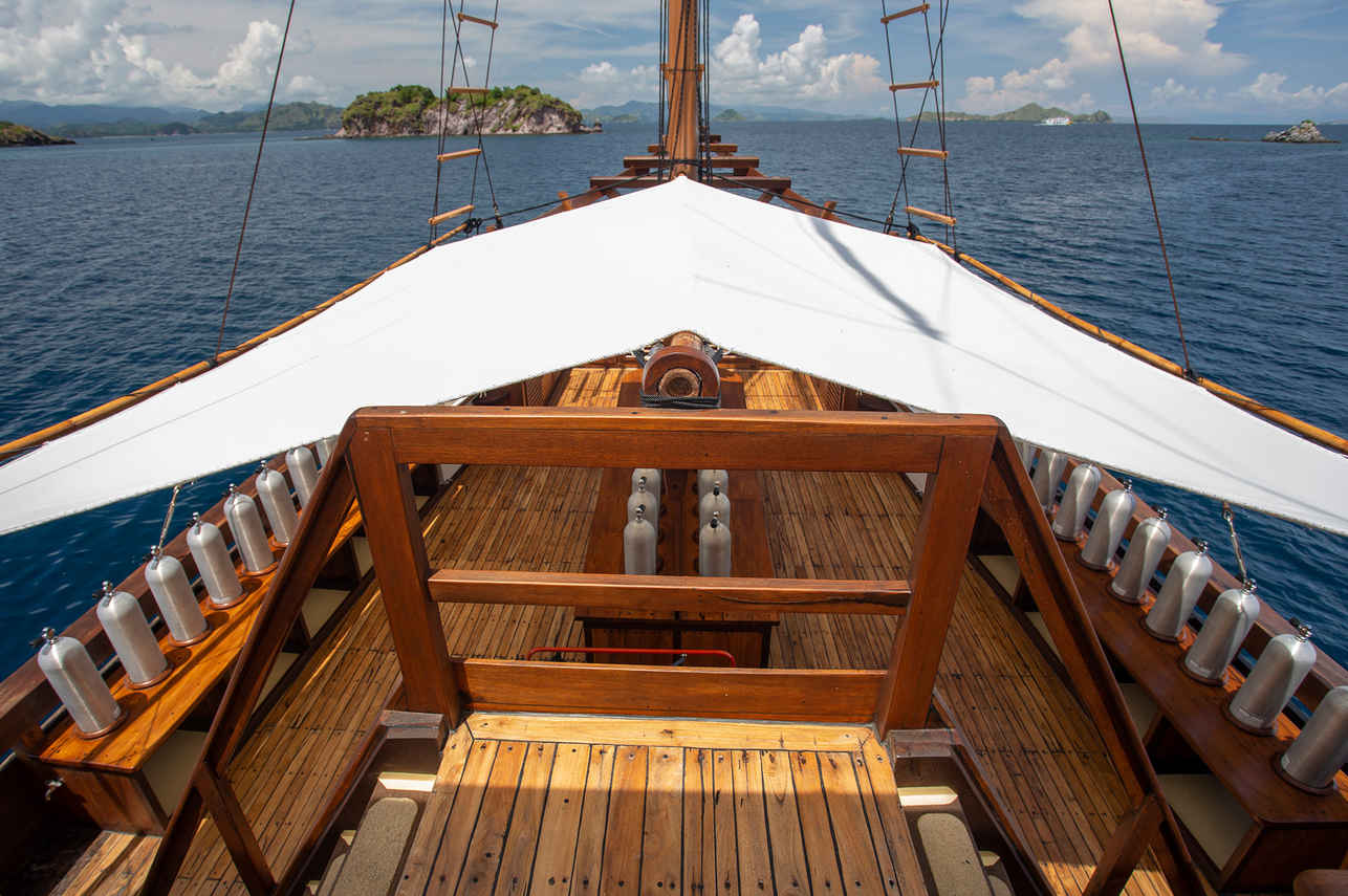 Jelajahi Laut Liveaboard