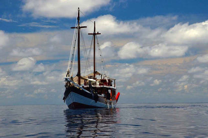 Kira Kira Liveaboard