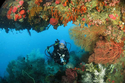 Kira Kira Liveaboard