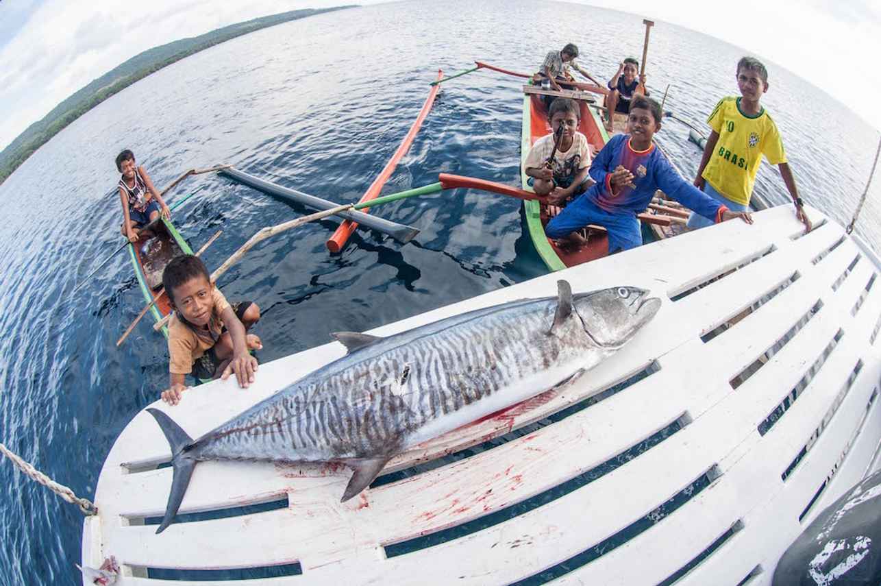 Kira Kira Liveaboard