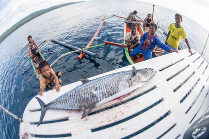 Kira Kira Liveaboard