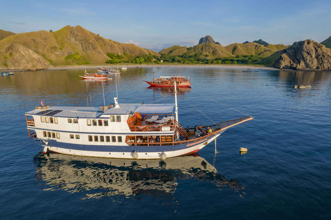 Komodo Sea Dragon Image