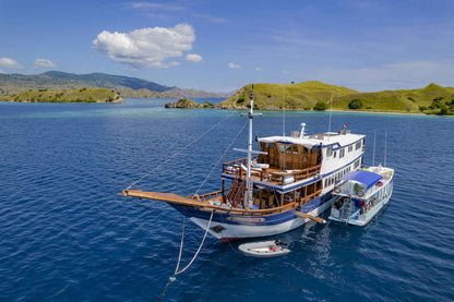 Komodo Sea Dragon