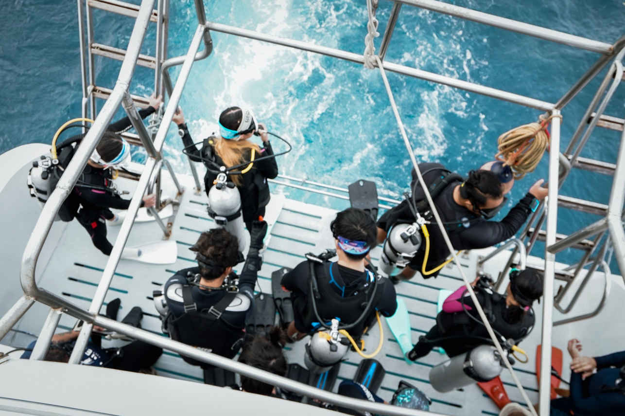 Krishna 1 Liveaboard Image