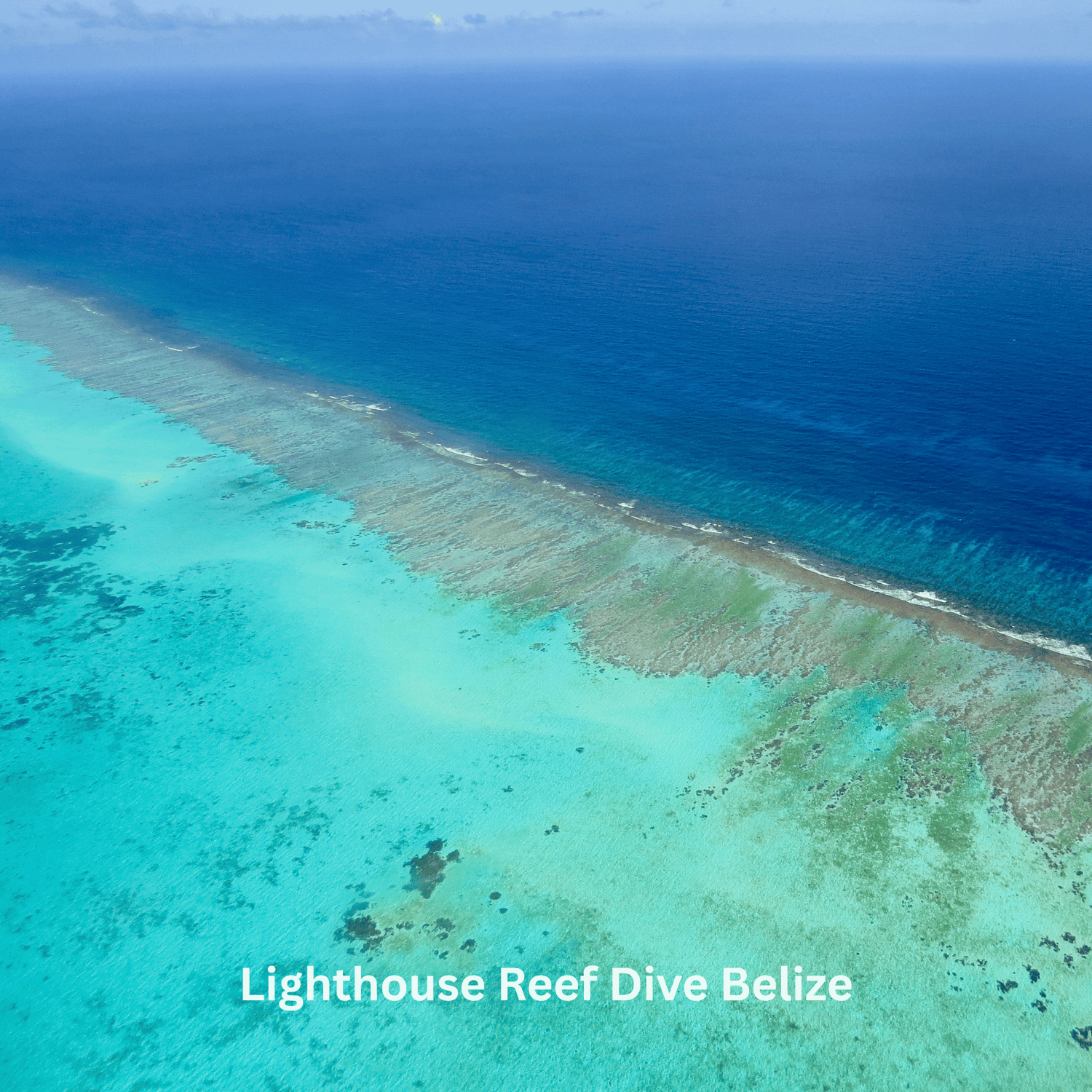 Lighthouse Reef Dive Belize