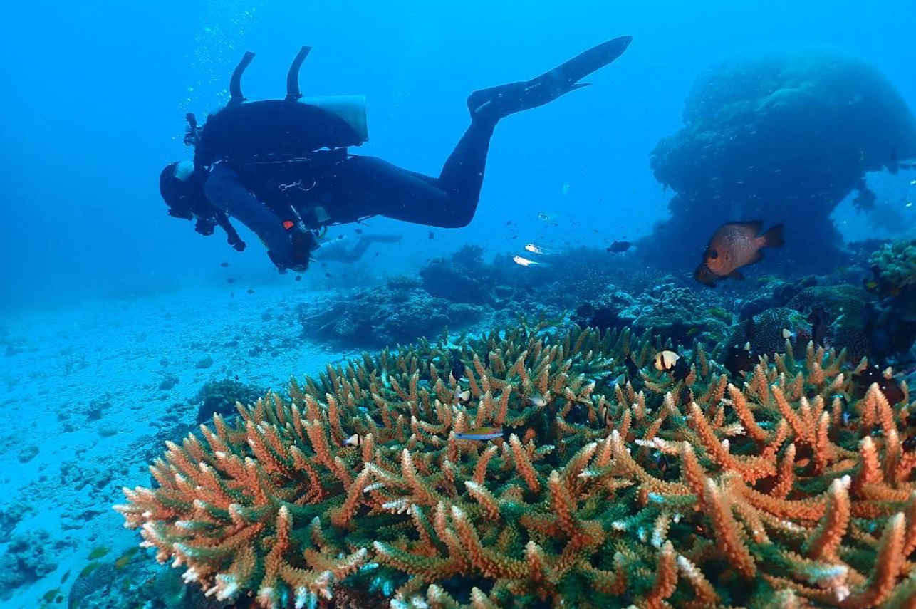 Lucky Marine Liveaboard