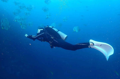 Lucky Marine Liveaboard