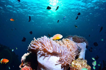 Lucky Marine Liveaboard
