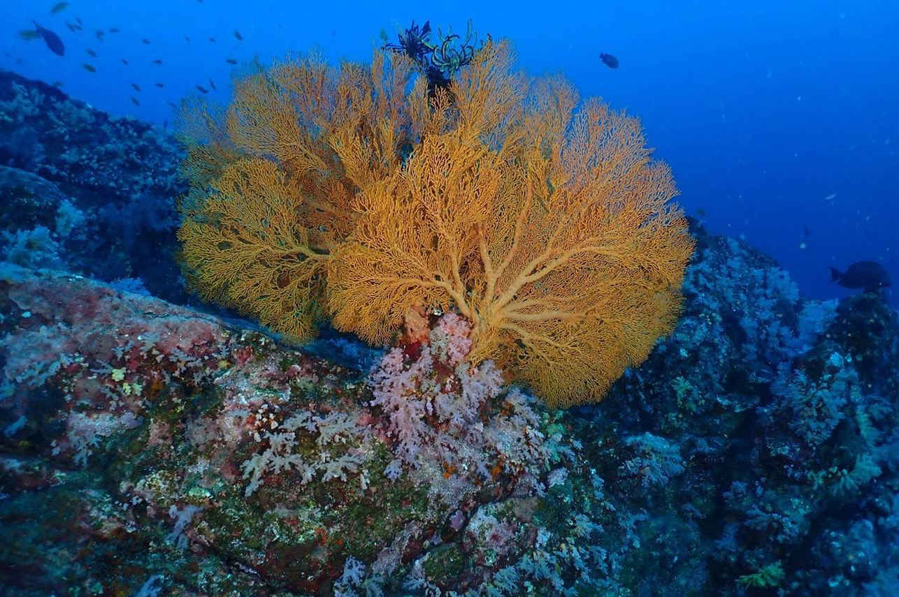 Lucky Marine Liveaboard