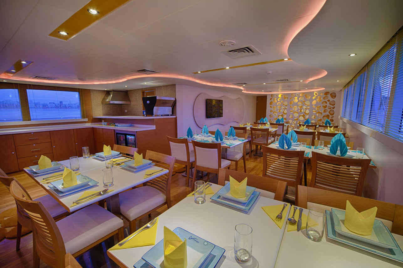 MY Odyssey Liveaboard