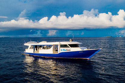 Maldives Blue Force 3