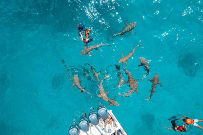 Maldives Legend Odyssey