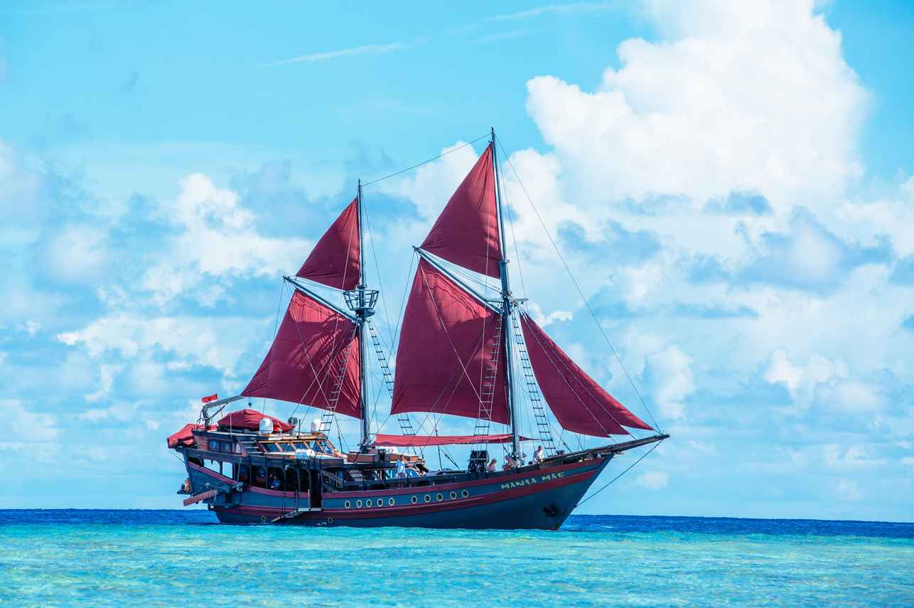 Manta Mae Image