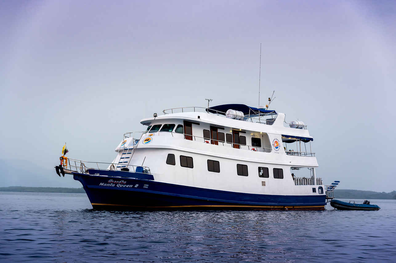 Manta Queen 2 Image