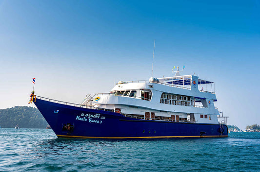 Manta Queen 3