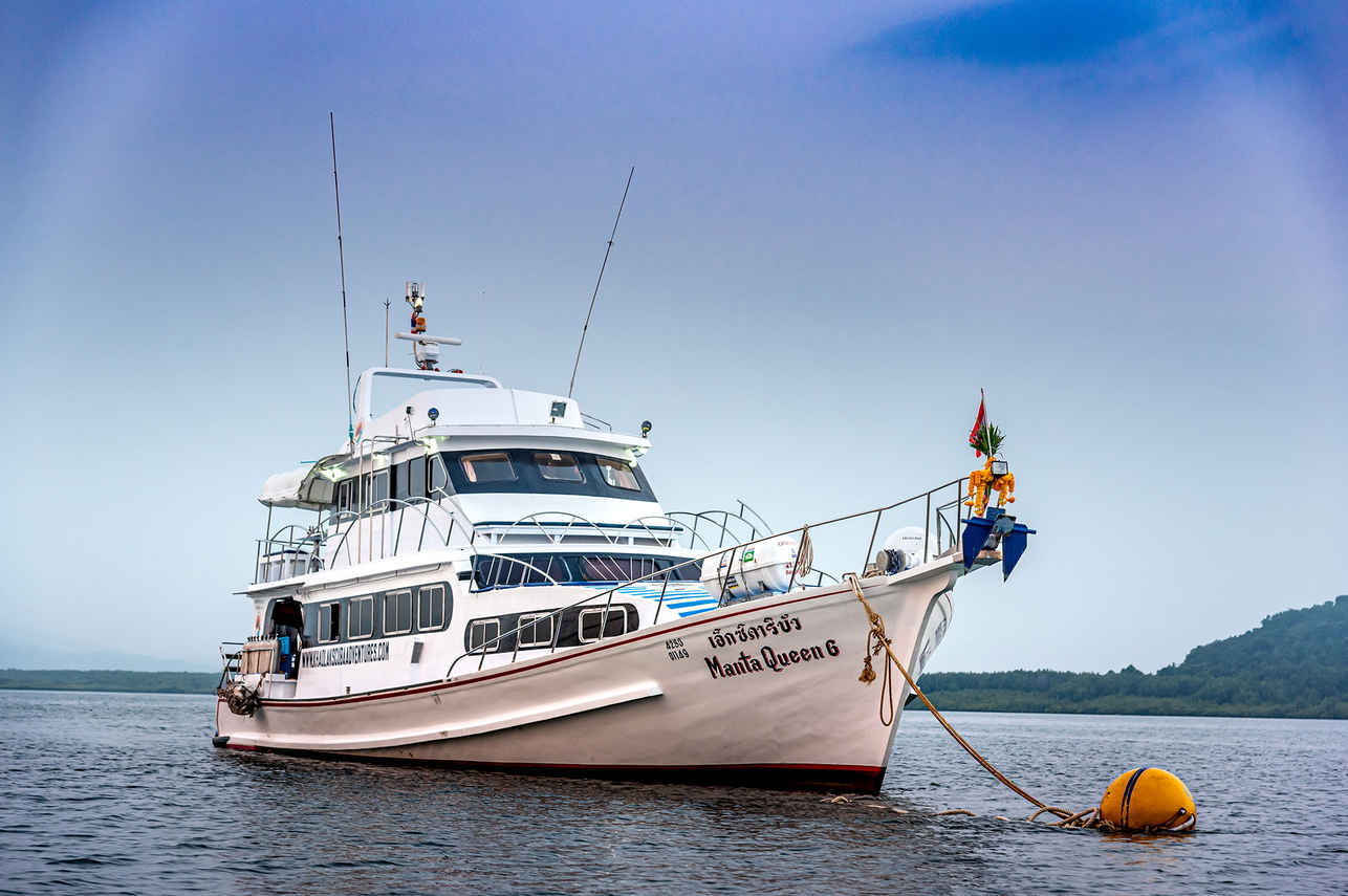 Manta Queen 6 Image