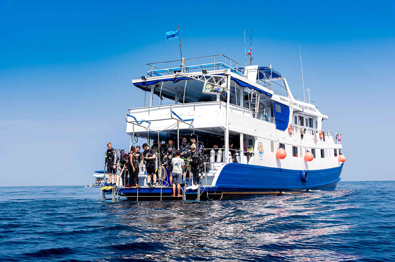 Manta Queen 7