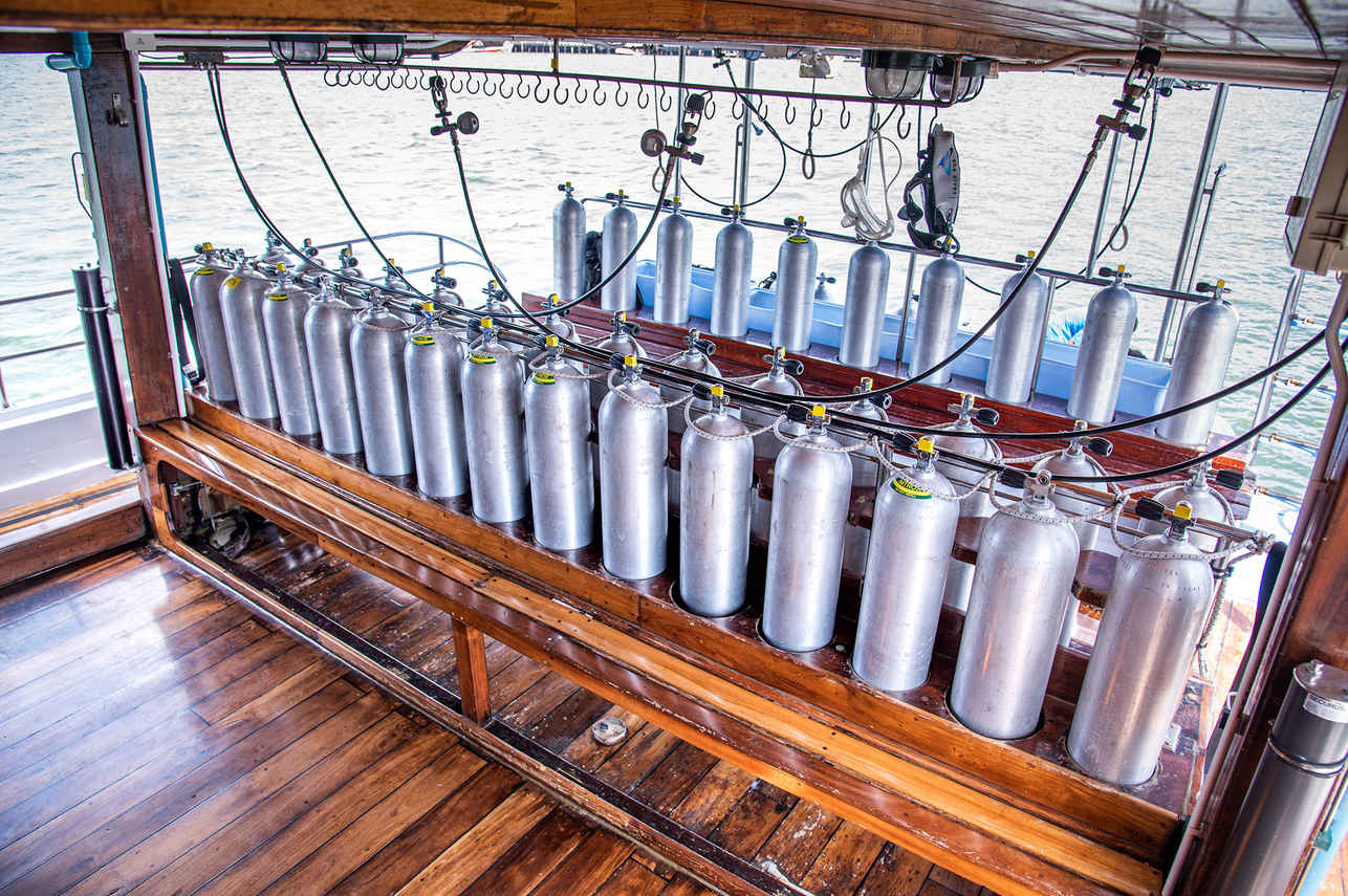 Manta Queen 8 Liveaboard