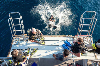 Marco Polo Liveaboard