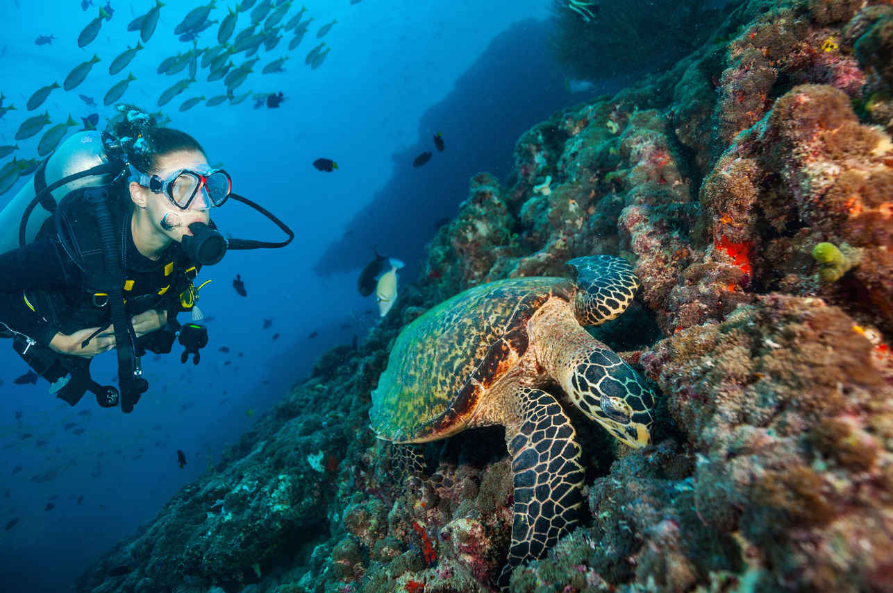 Marco Polo Liveaboard