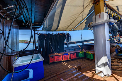 Mari Liveaboard