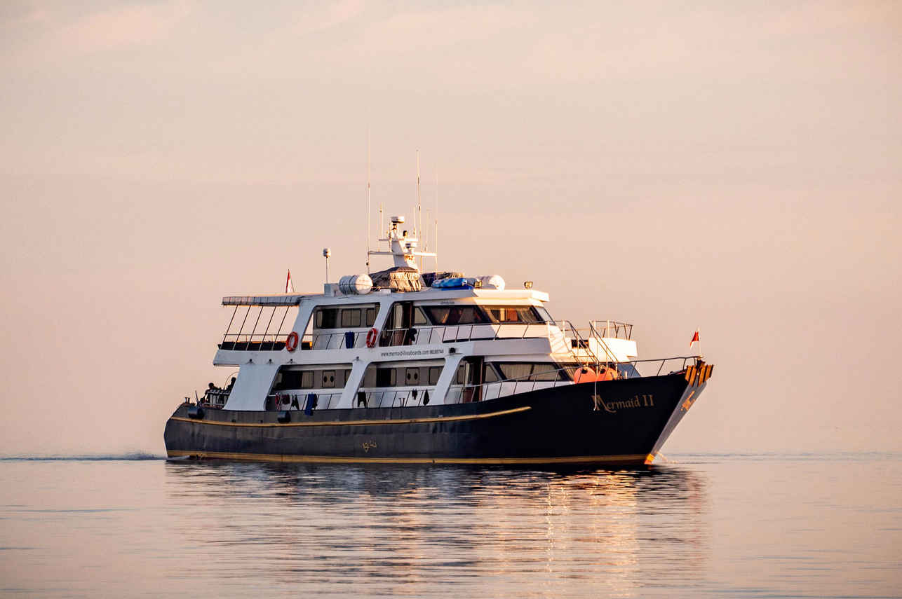 Mermaid II Liveaboard