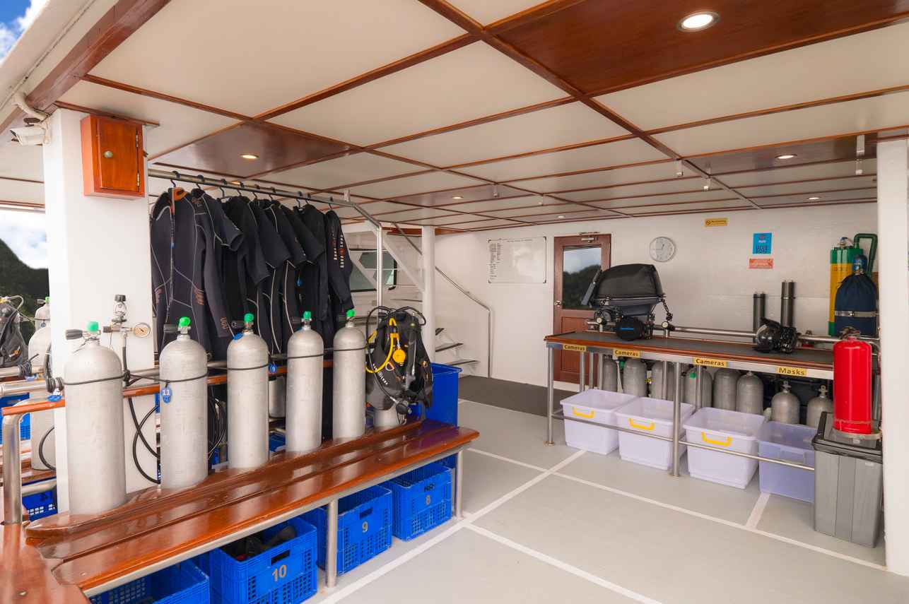 Mermaid II Liveaboard