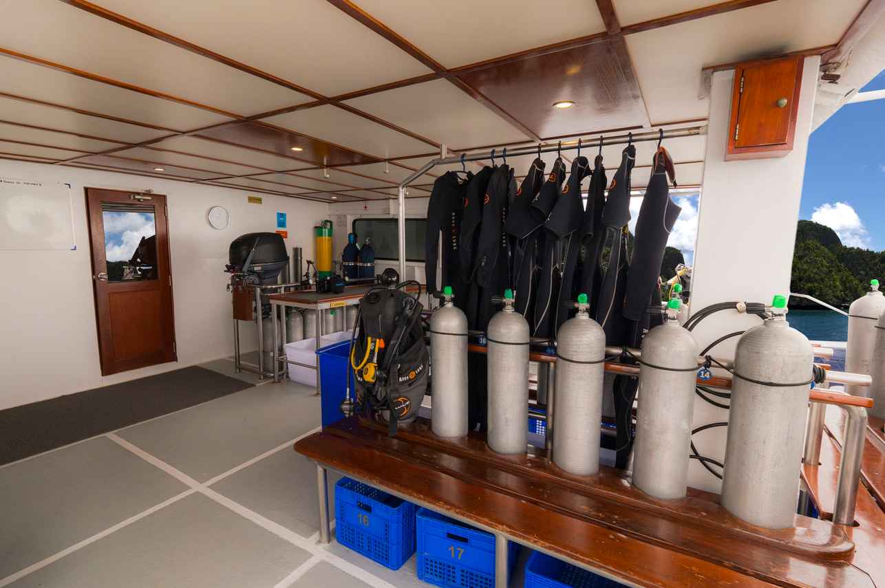 Mermaid II Liveaboard