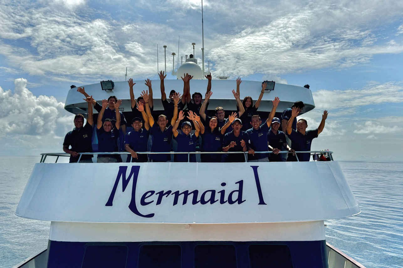 Mermaid I Liveaboard