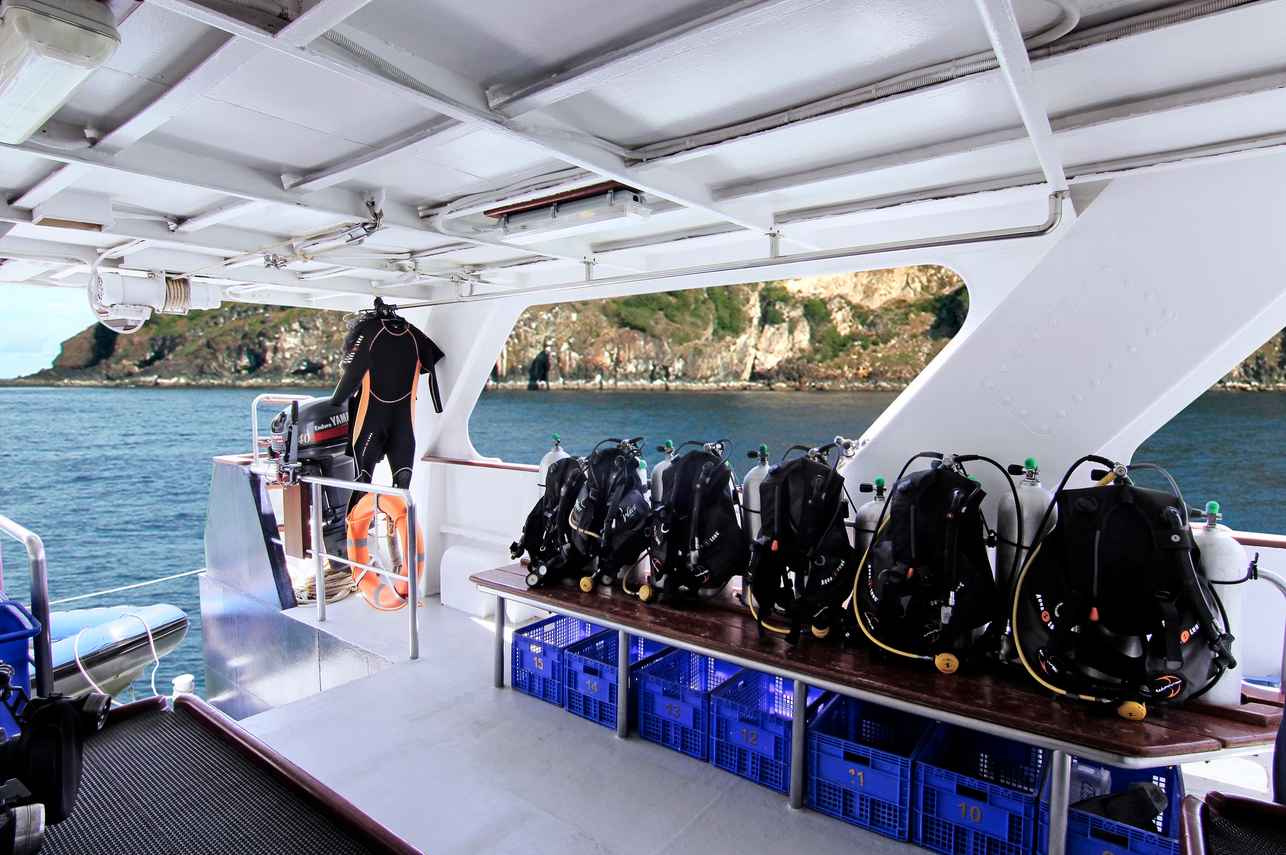 Mermaid I Liveaboard Image