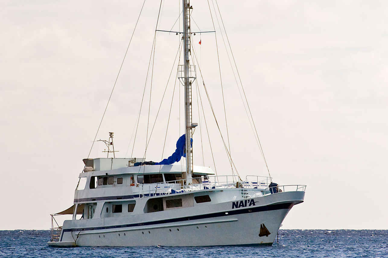 Nai'a Image