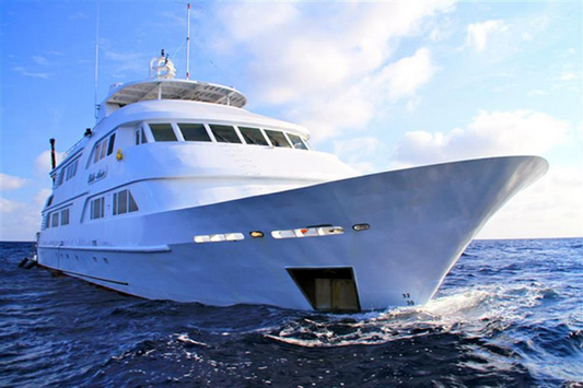 Nautilus Belle Amie