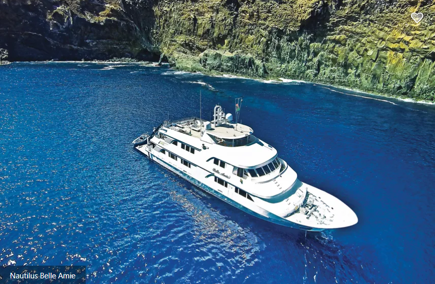 Nautilus Belle Amie