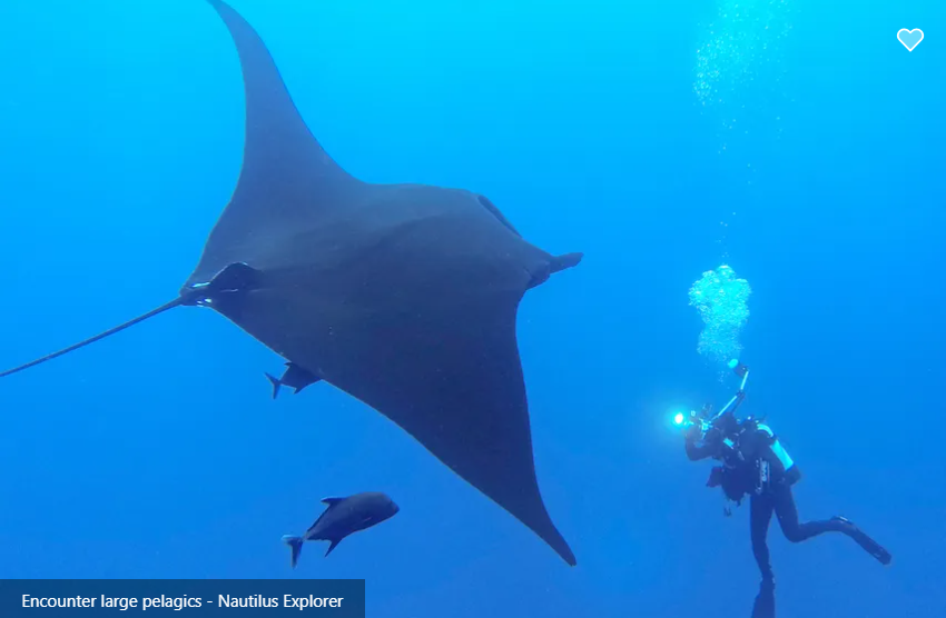 Nautilus Explorer Image