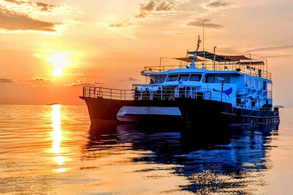 Navis 1 Liveaboard