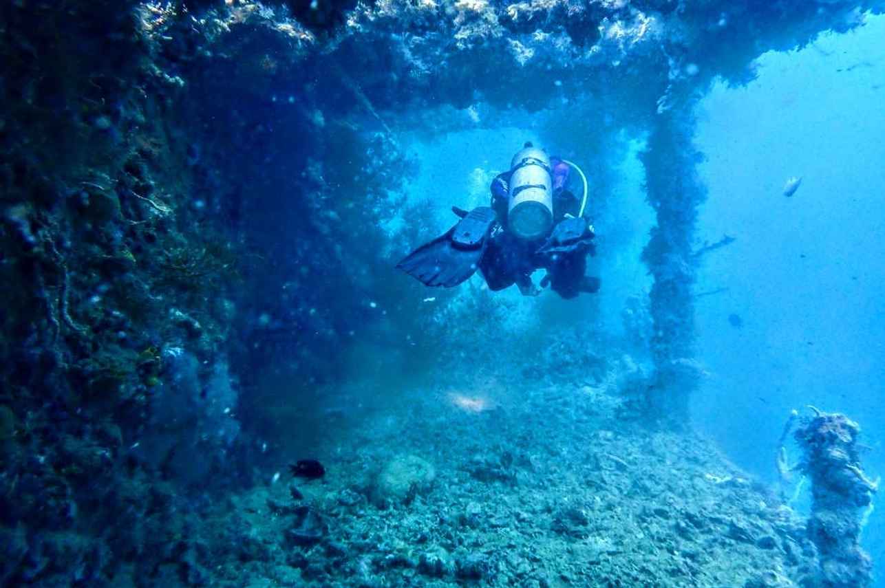 Navis 1 Liveaboard