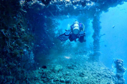 Navis 1 Liveaboard