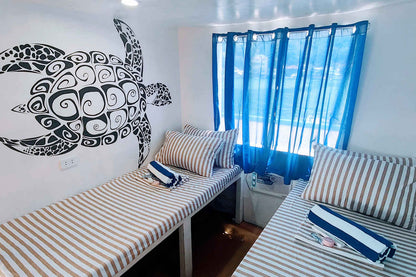 Navis 1 Liveaboard