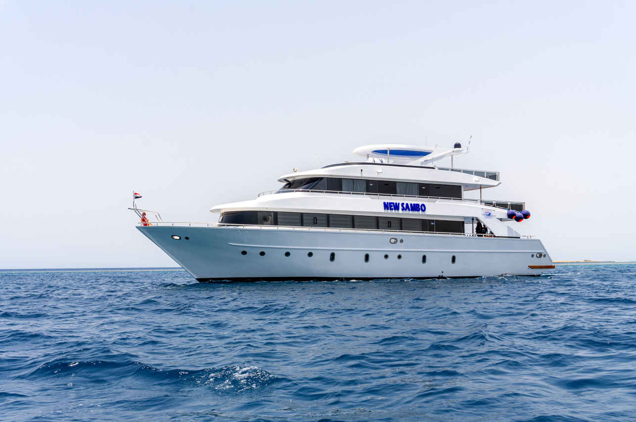 New Sambo Liveaboard Image