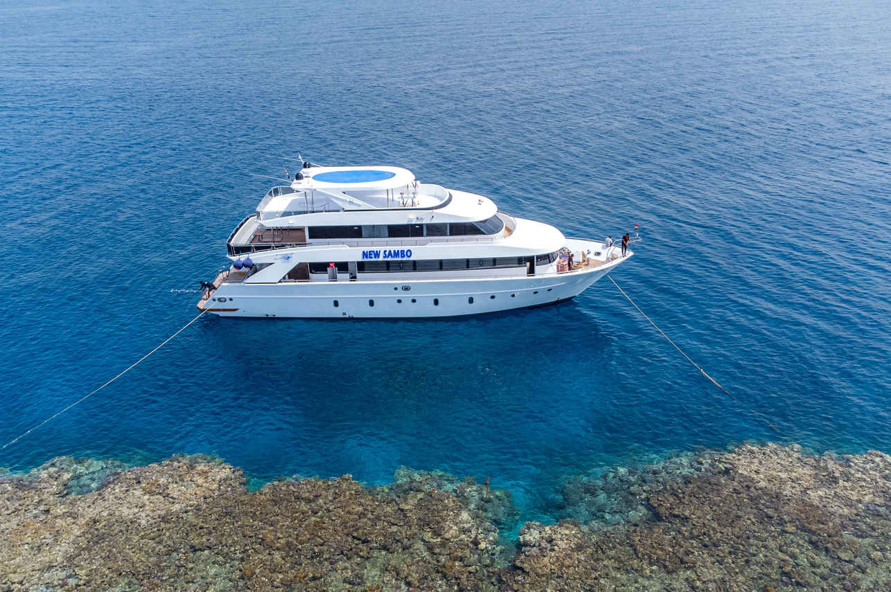 New Sambo Liveaboard