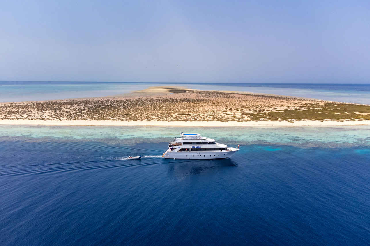New Sambo Liveaboard